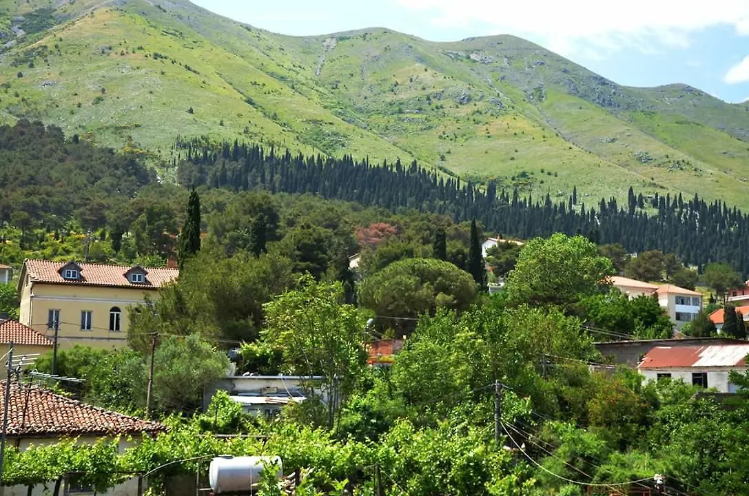 Hotel Shkodra Lake Široka 알바니아