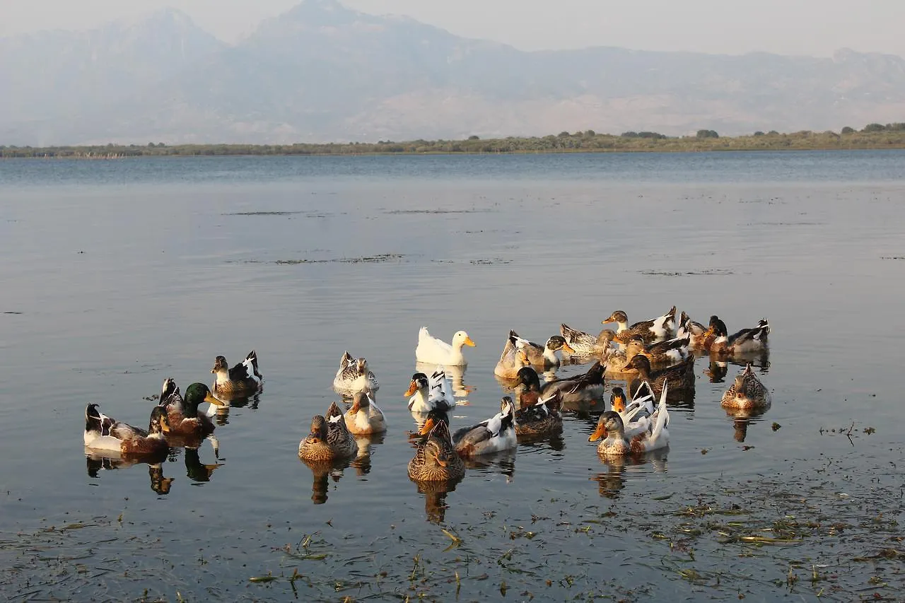 Hotel Shkodra Lake Shiroka